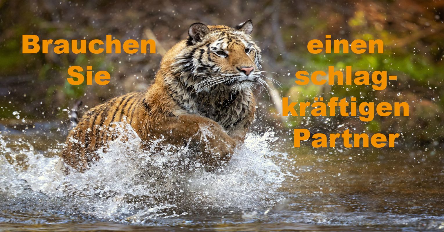 Schlagkraeftig